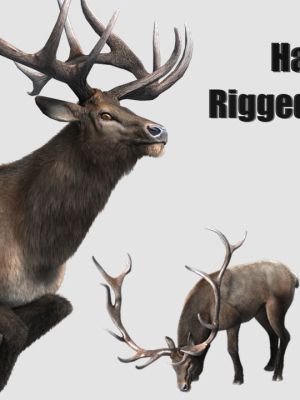 elaphurus deer buck stag reindeer doe