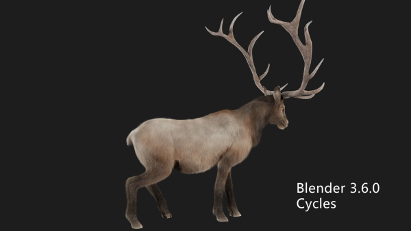 elaphurus deer buck stag reindeer doe