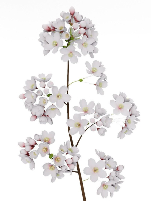 elegant-japanese-saku-flower-blossoms-3d-model-3ac9b5ee26