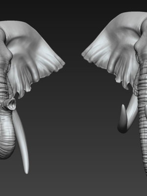 elephant-head-two-stye-3d-model-obj-stl-ztl