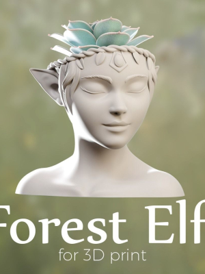 ELF PLANTER -SUCCULENT PLANT POT