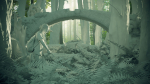 Ellie the last of us 2 - Forest set Cinema4d and Corona 3d model