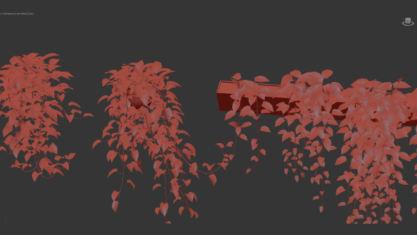 Epipremnum aureum Golden pothos 3D Model