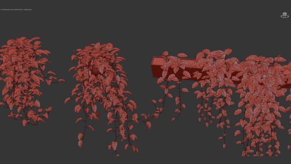 Epipremnum aureum Golden pothos 3D Model