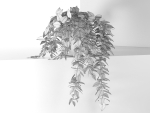 Epipremnum in Pot
