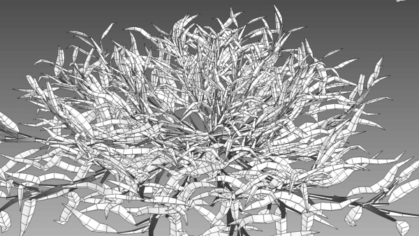 Eremochloa ophiuroides GrowFX