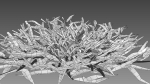 Eremochloa ophiuroides GrowFX