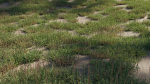 Eremochloa ophiuroides GrowFX