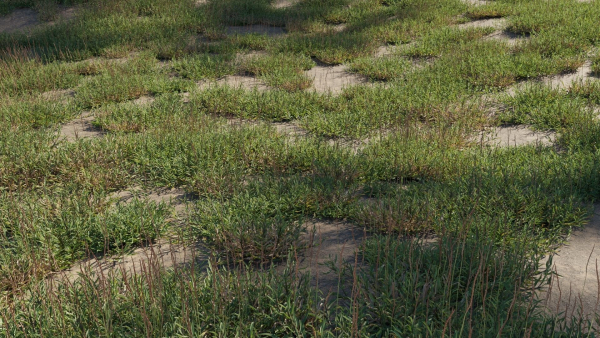 Eremochloa ophiuroides GrowFX