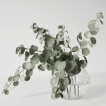 Eucalyptus bouquet