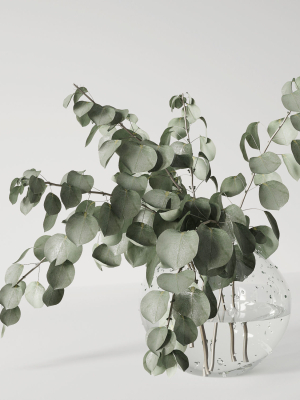 eucalyptus-bouquet-3d-model-max-obj-mtl-fbx