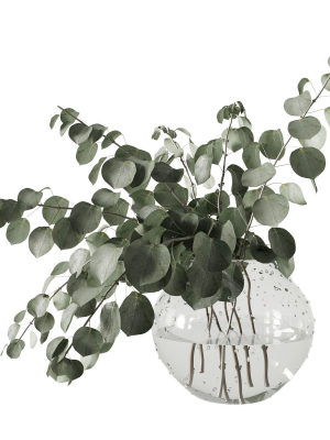 Eucalyptus bouquet