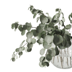 Eucalyptus bouquet