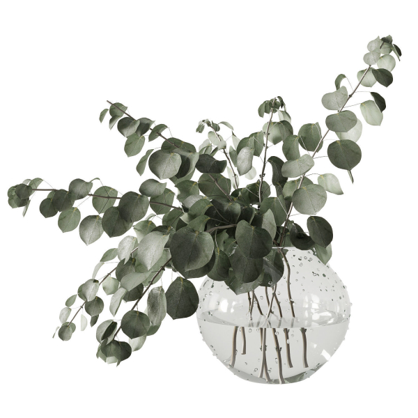 Eucalyptus bouquet