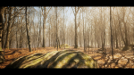 European Dark Forest