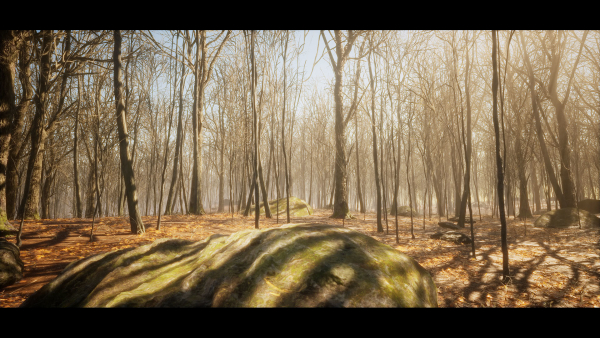 European Dark Forest