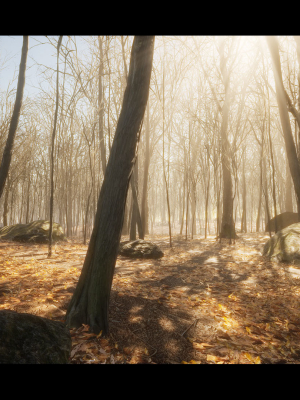 European Dark Forest