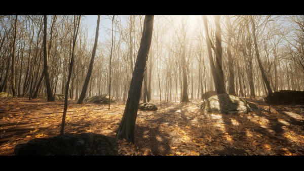 European Dark Forest