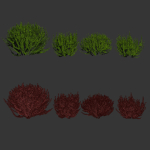 Evergreen Spindle Bushes collection vol 232