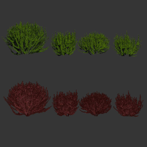 Evergreen Spindle Bushes collection vol 232