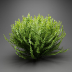 Evergreen Spindle Bushes collection vol 232-Blender