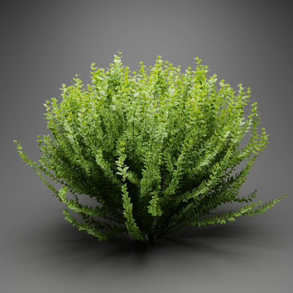 Evergreen Spindle Bushes collection vol 232-Blender