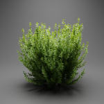 Evergreen Spindle Bushes collection vol 232-Blender