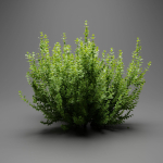 Evergreen Spindle Bushes collection vol 232-Blender