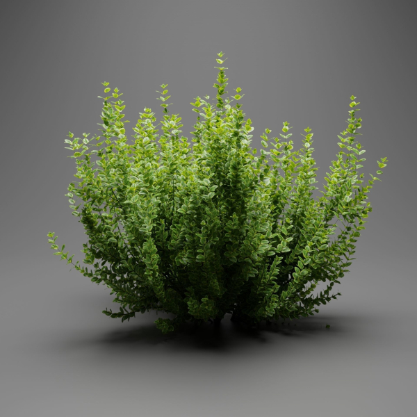 Evergreen Spindle Bushes collection vol 232-Blender