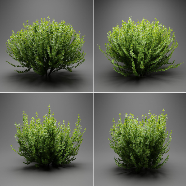 Evergreen Spindle Bushes collection vol 232-Blender