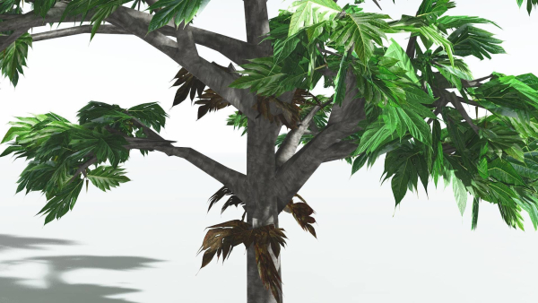 EVERYPlant Breadnut LowPoly 1 --12 Models--
