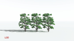 EVERYPlant Breadnut LowPoly 1 --12 Models--
