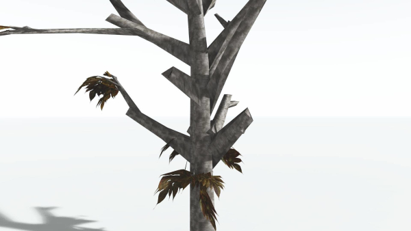 EVERYPlant Breadnut LowPoly 1 --12 Models--