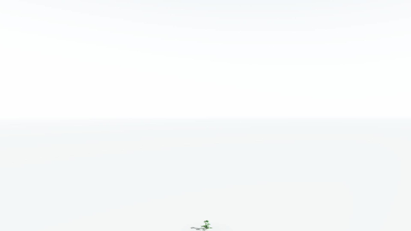 EVERYPlant Breadnut LowPoly 1 --12 Models--