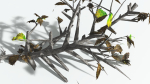 EVERYPlant Breadnut LowPoly 1 --12 Models--