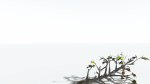 EVERYPlant Breadnut LowPoly 1 --12 Models--