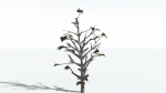 EVERYPlant Breadnut LowPoly 1 --12 Models--