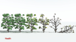 EVERYPlant Breadnut LowPoly 1 --12 Models--