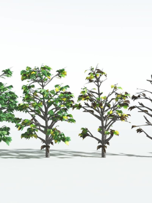 everyplant-breadnut-lowpoly-1-12-models-3d-model-dfe520c21c