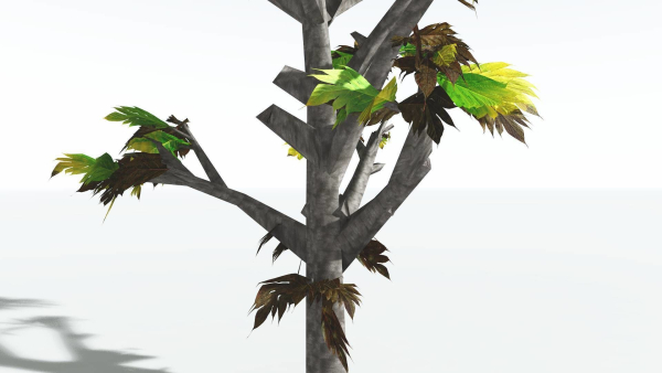 EVERYPlant Breadnut LowPoly 1 --12 Models--