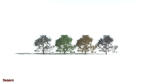EVERYPlant English Oak 3 --15 Models--