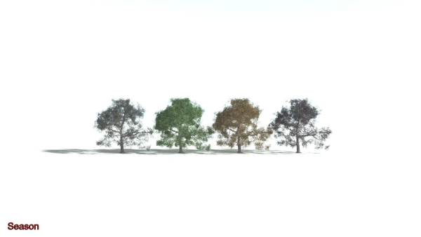 EVERYPlant English Oak 3 --15 Models--