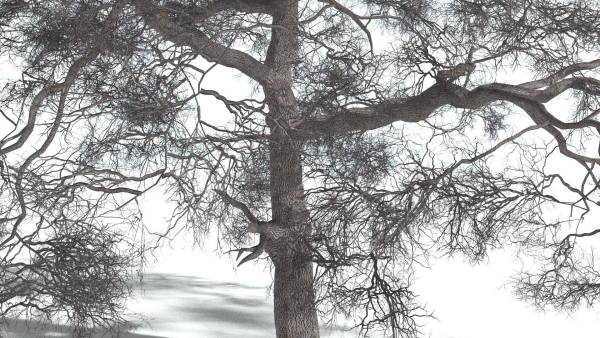EVERYPlant English Oak 3 --15 Models--