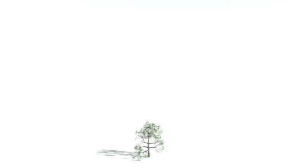 EVERYPlant English Oak 3 --15 Models--