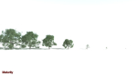 EVERYPlant English Oak 3 --15 Models--