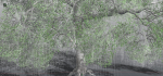 EVERYPlant English Oak 3 --15 Models--