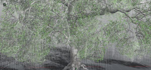 EVERYPlant English Oak 3 --15 Models--