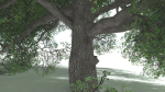 EVERYPlant English Oak 5 --15 Models--