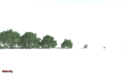 EVERYPlant English Oak 5 --15 Models--