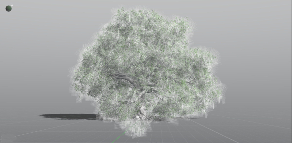 EVERYPlant English Oak 5 --15 Models--